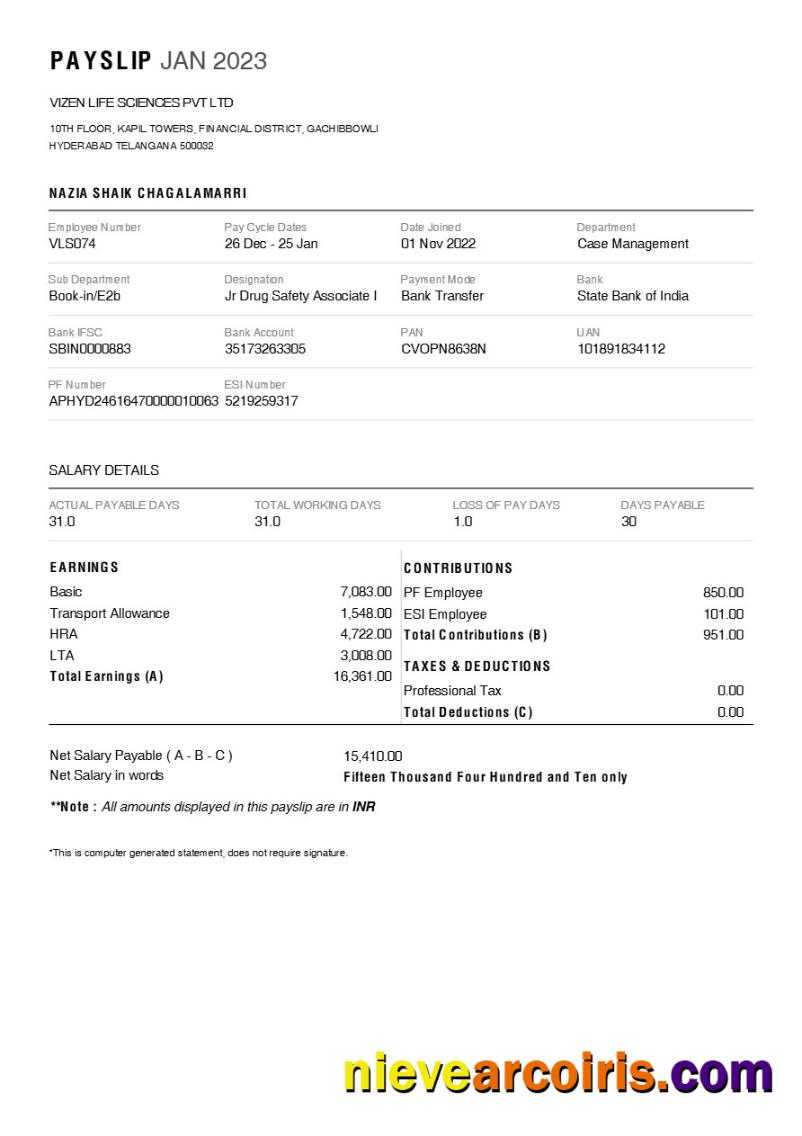 Vizen Life Sciences pharmaceutical company payslip